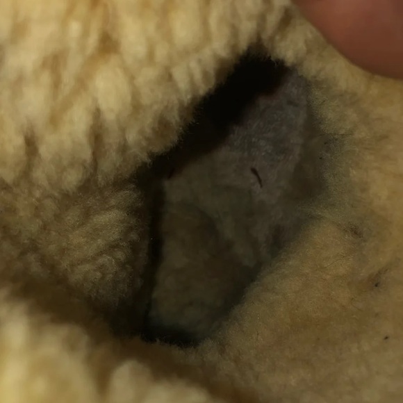 Ugg boots - Picture 7 of 8